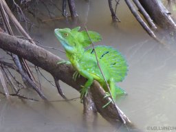 QueenVictoria2015-035